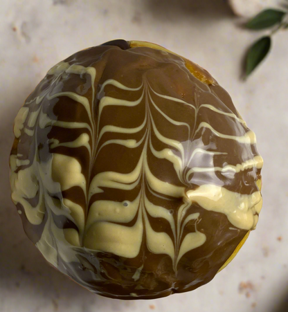 ستافد نوتيلا